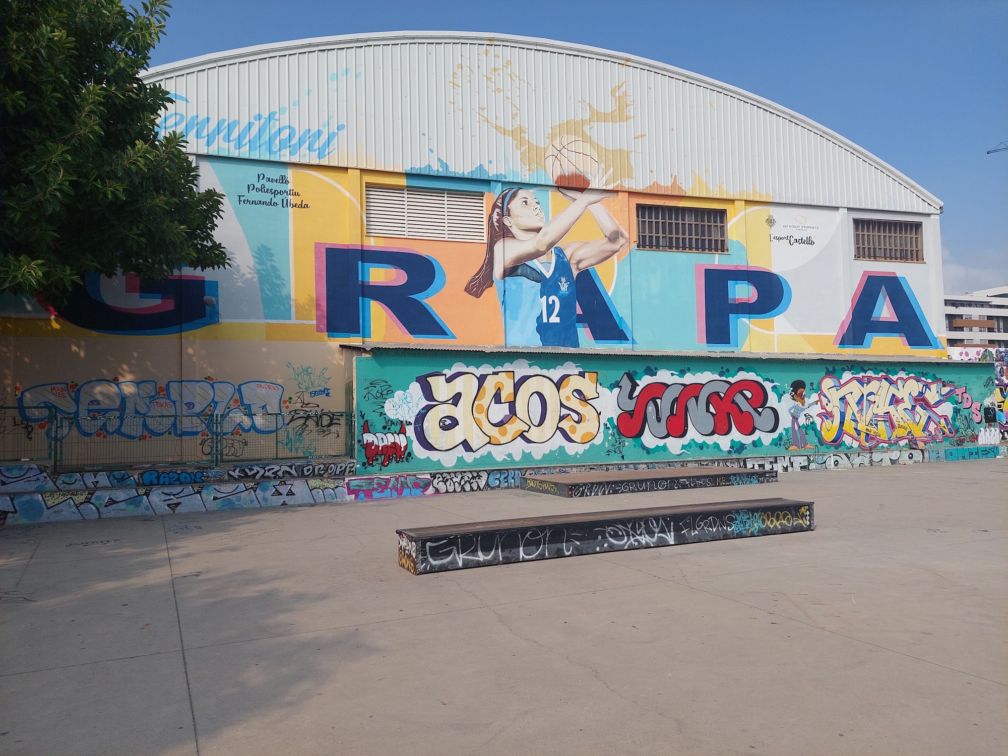 Grapa skatepark